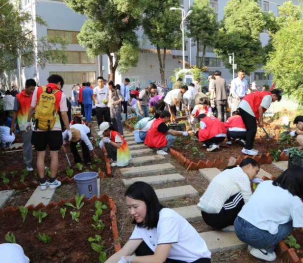 无论是学习还是日子走好每一步远比急于求成更有力量 无论是学习还是日子走好每一步远比急于求成更有力量
